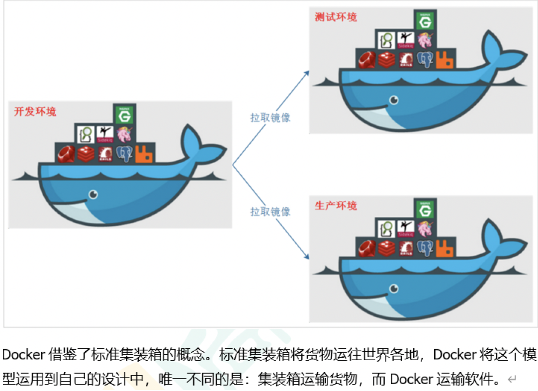 image-20220606225001049.png