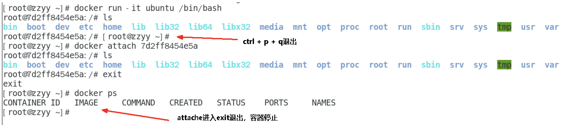 image-20220614165525742.png