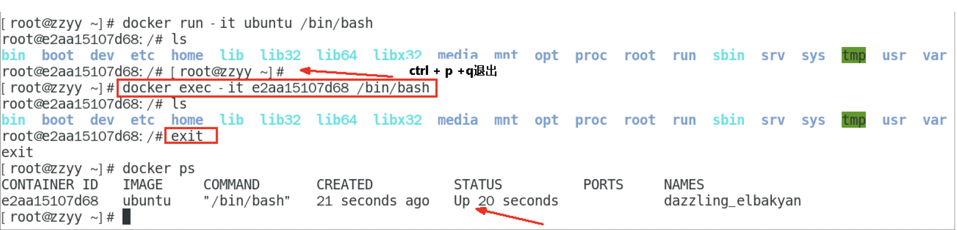 image-20220614165549776.png